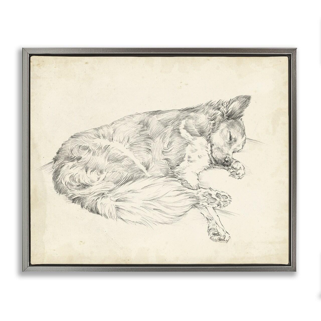 Stupell Industries Antique Dog Drawing Floating Frame By Ethan Harper